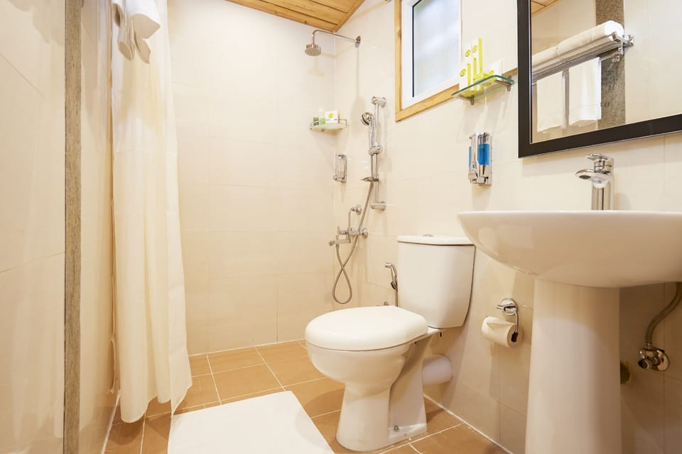 Shower, free toiletries, hair dryer, slippers