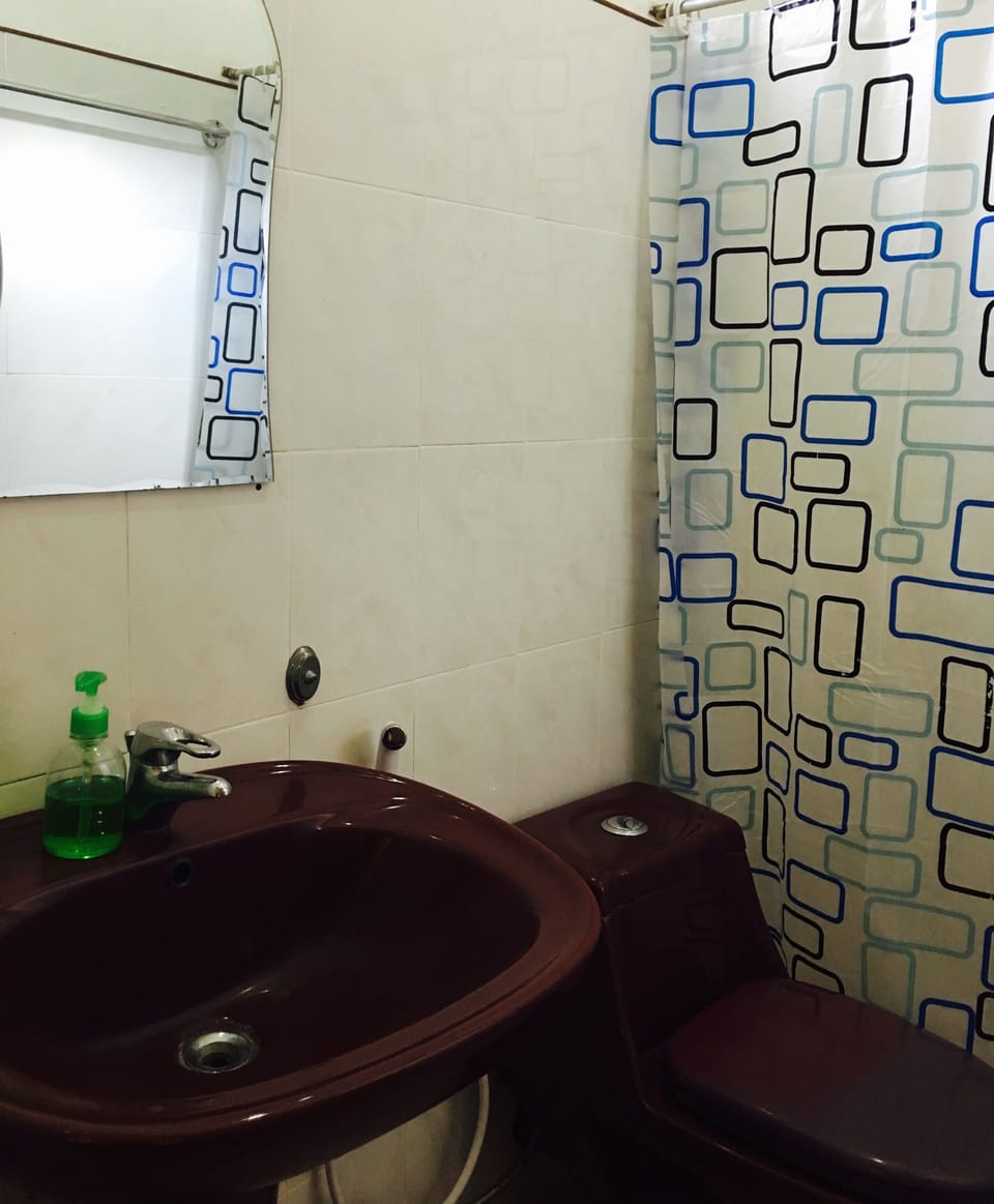 Shower, hair dryer (on request), towels