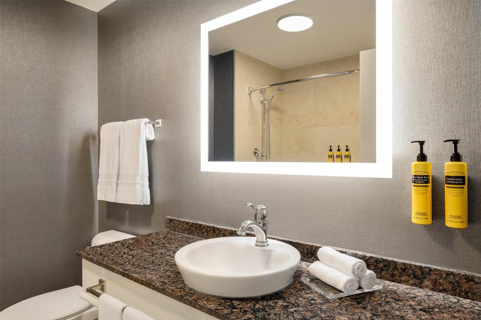 Eco-friendly toiletries, hair dryer, towels