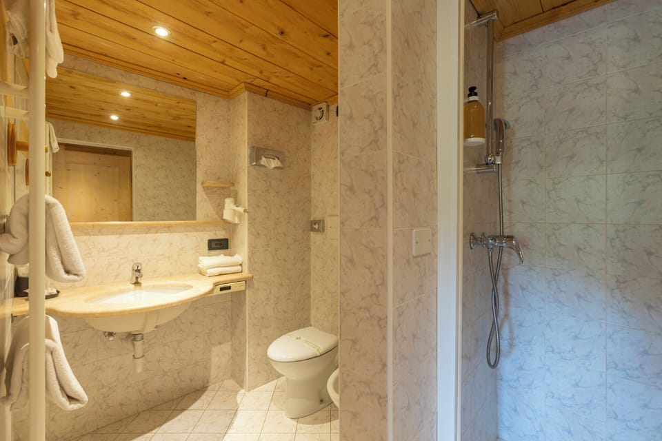 Triple Room | Bathroom | Shower, hair dryer, bidet, towels
