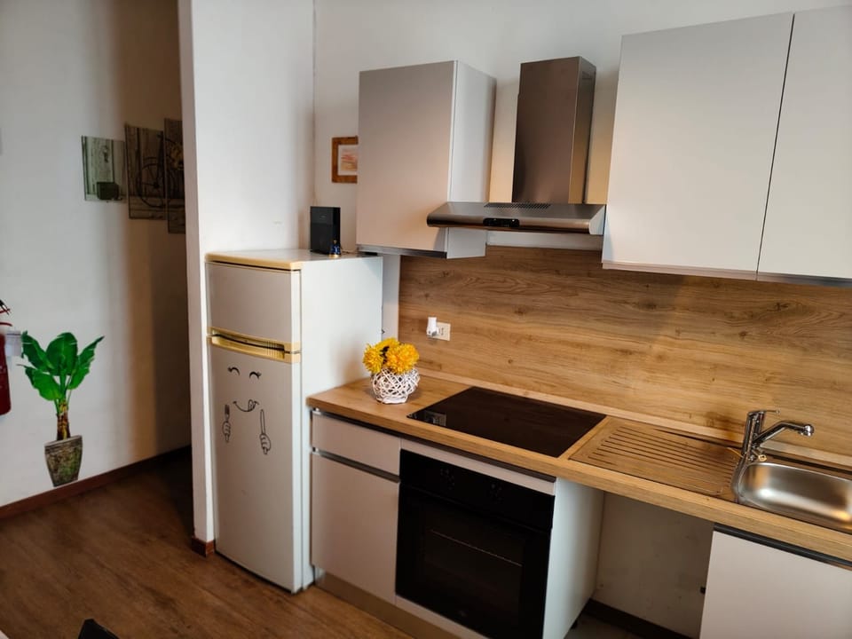 Full-size fridge, microwave, oven, stovetop