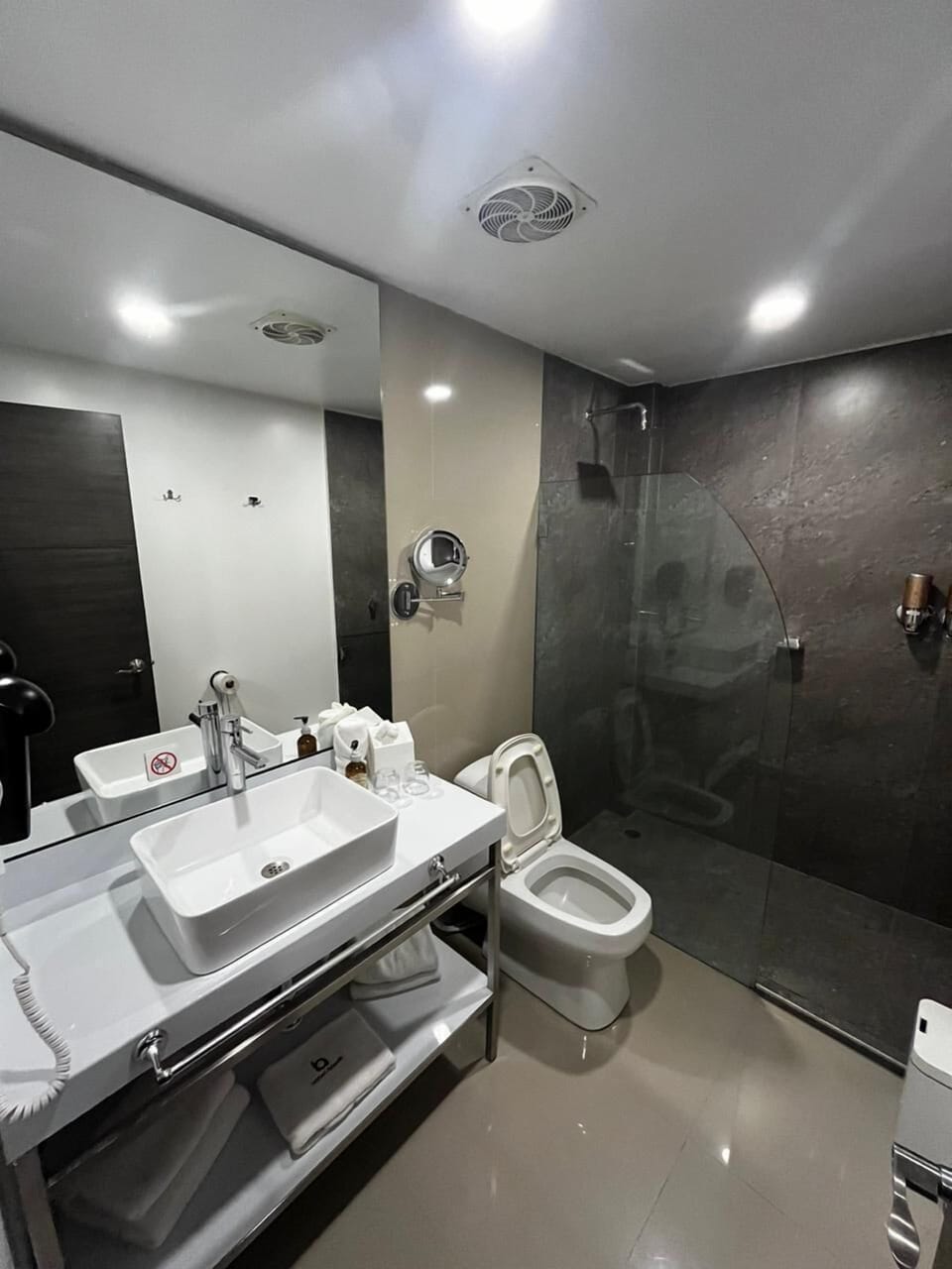 Exclusive Room | Bathroom | Free toiletries, hair dryer, bathrobes, bidet