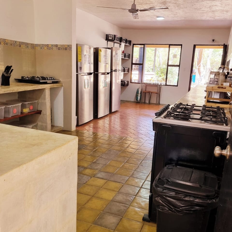 Shared fridge, microwave