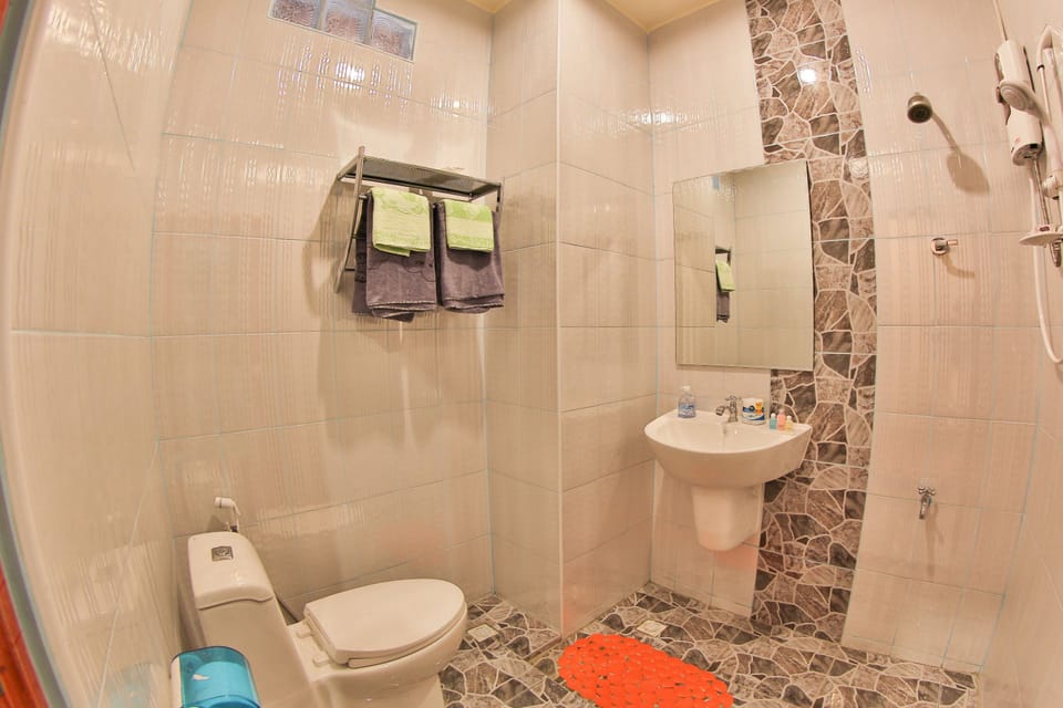 Shower, free toiletries, hair dryer, slippers