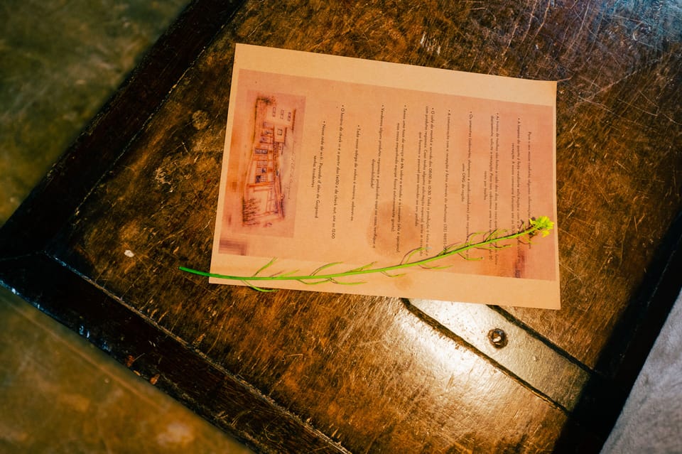 Individually decorated, individually furnished, iron/ironing board