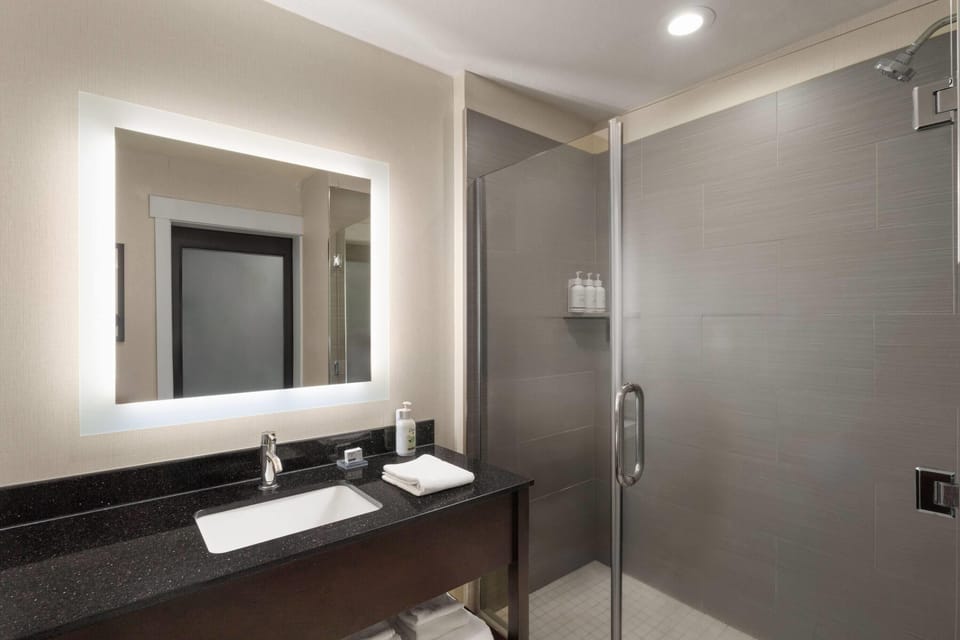 Suite, 1 Bedroom, Non Smoking (1 King Bed) | Bathroom | Eco-friendly toiletries, hair dryer, towels