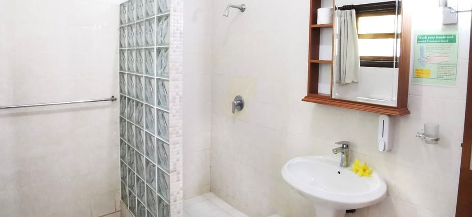 Standard Double Room | Bathroom | Shower, rainfall showerhead, free toiletries, hair dryer