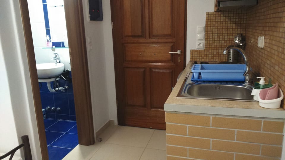 Family Apartment, 1 Bedroom | Private kitchenette | Fridge, stovetop, electric kettle, cookware/dishes/utensils