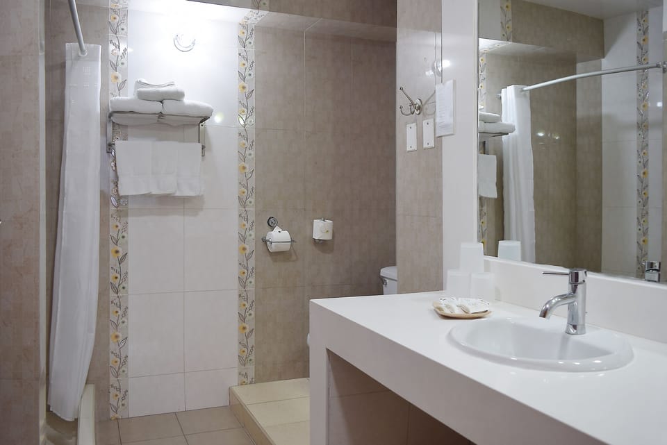 Family Room | Bathroom | Shower, free toiletries, hair dryer, towels