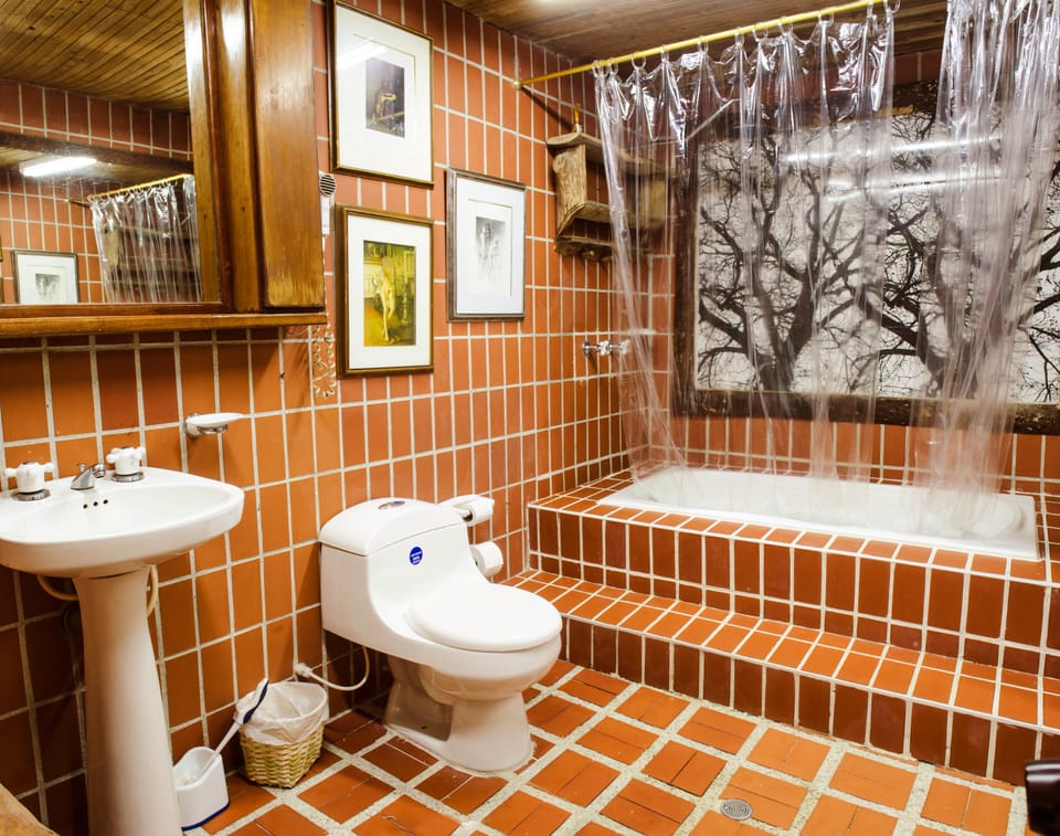 Shower, designer toiletries, hair dryer, bathrobes