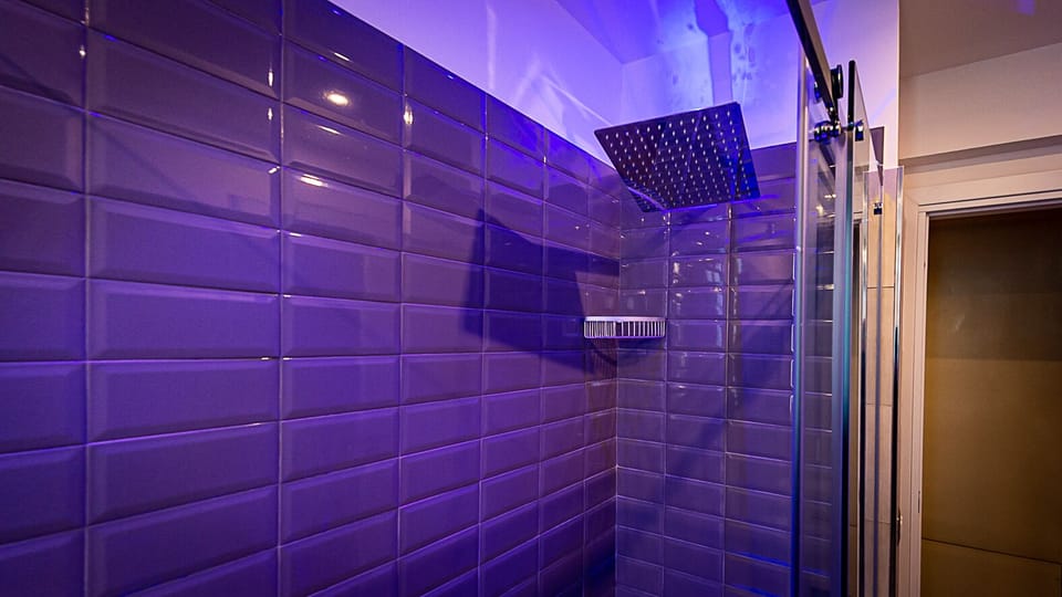 Shower, free toiletries, bidet, towels