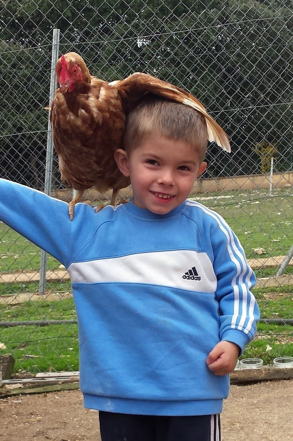 Children's activities