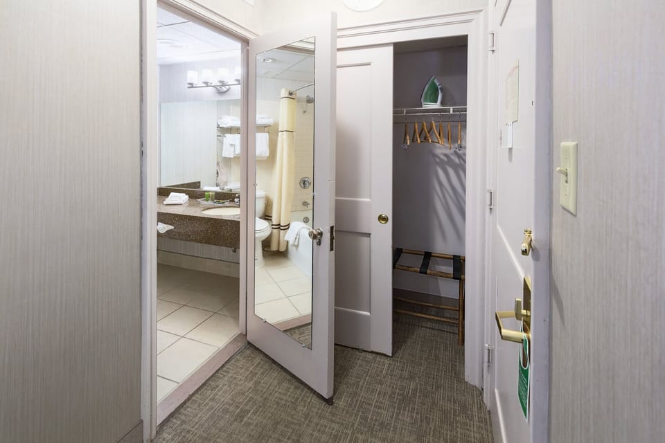 Standard Room, 1 King Bed, City View | Bathroom | Free toiletries, hair dryer, towels