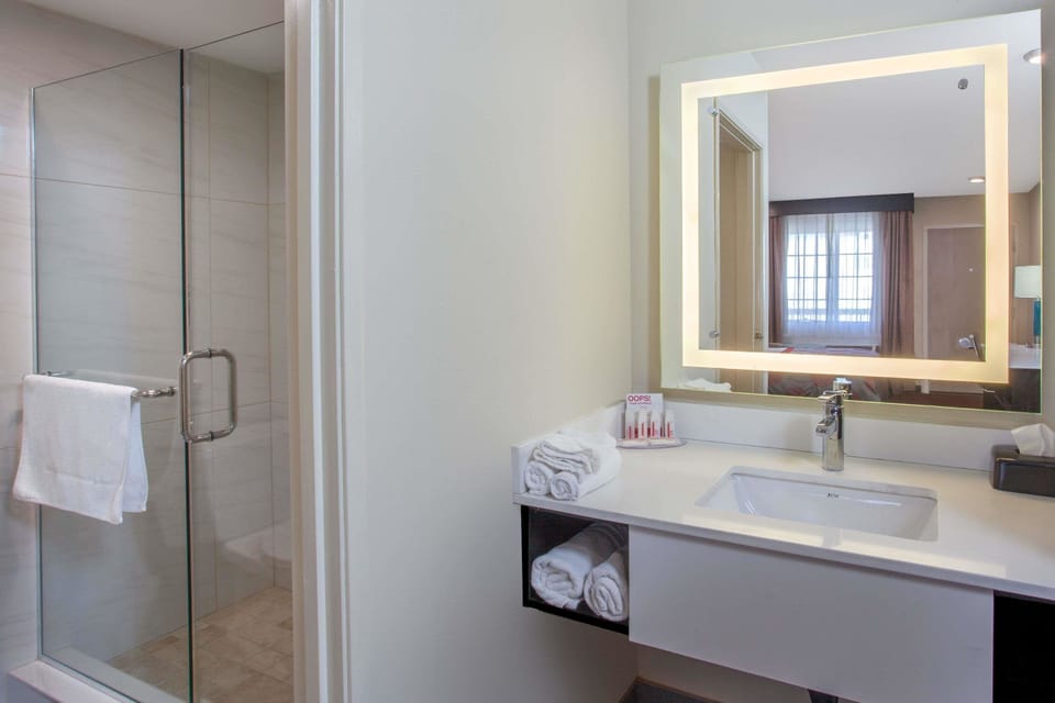 Shower, free toiletries, hair dryer, towels