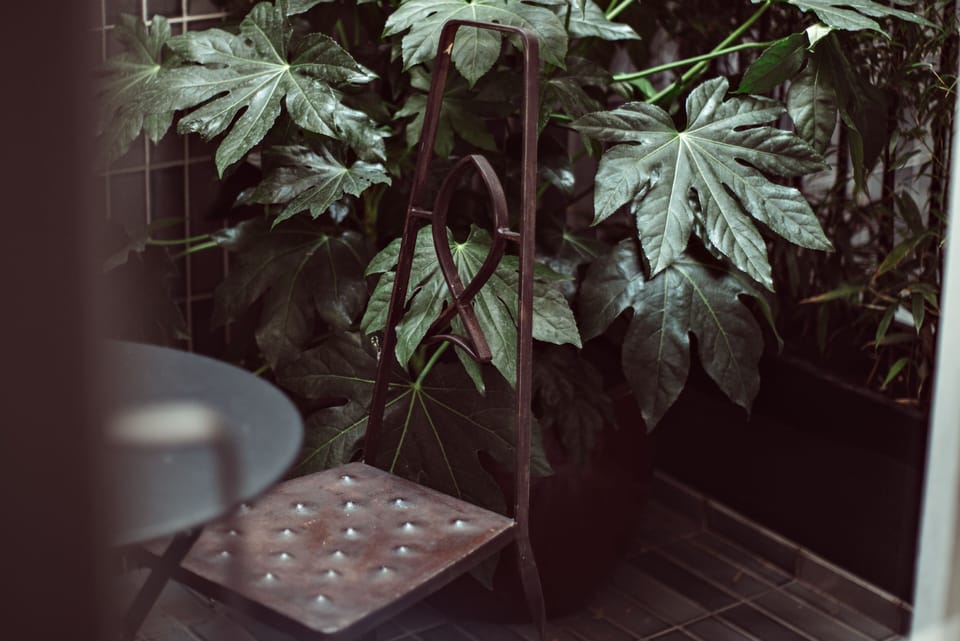 Superior Room, Terrace | Terrace/patio
