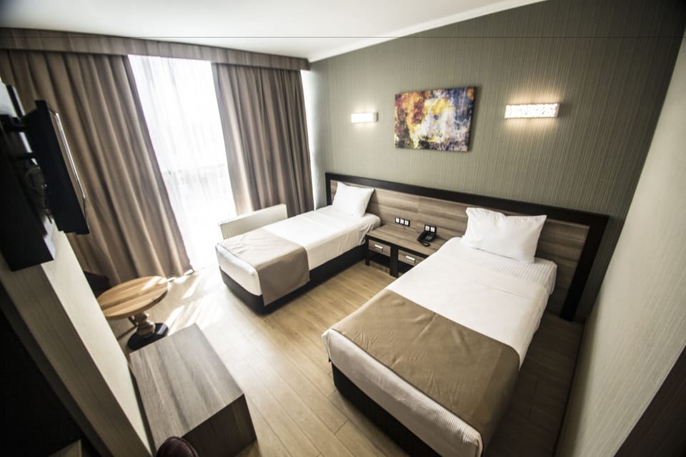 Standard Double Room, Smoking | Minibar, in-room safe, desk, soundproofing