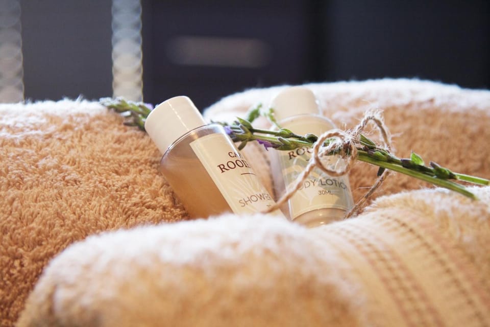 Shower, free toiletries, hair dryer, bathrobes