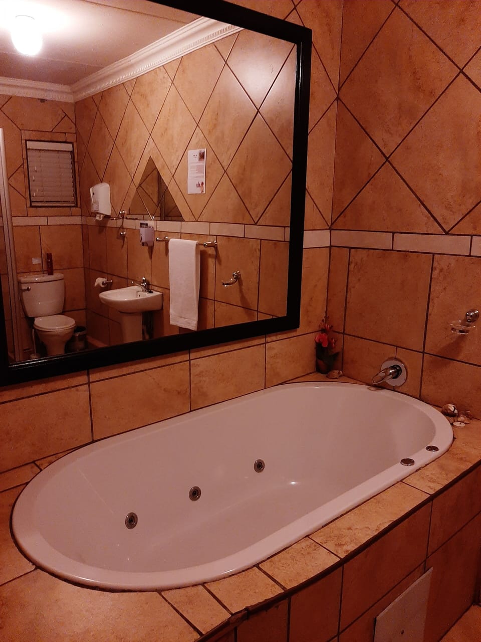 Family Room | Jetted tub