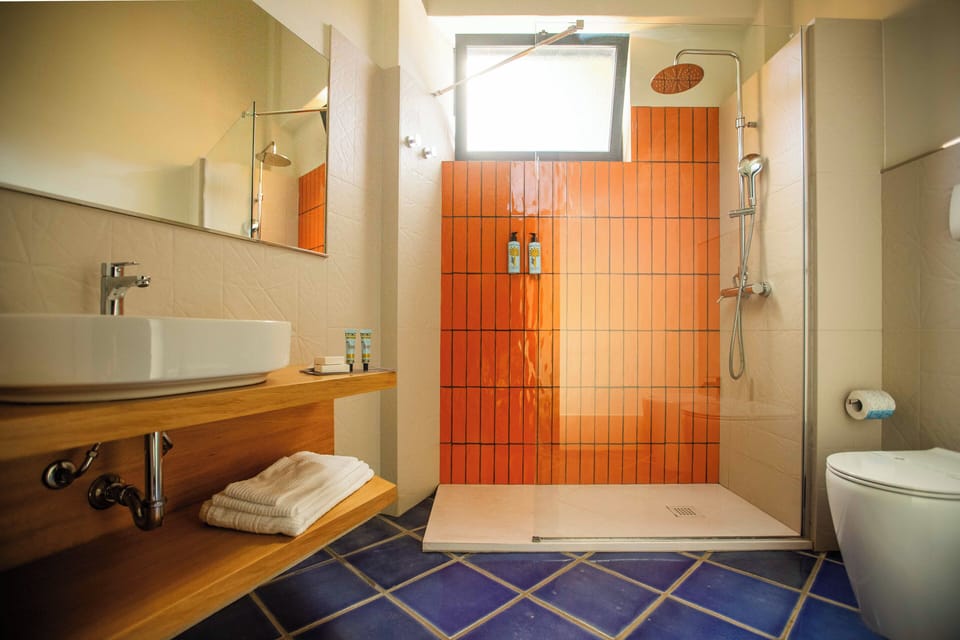 Combined shower/tub, free toiletries, hair dryer, towels