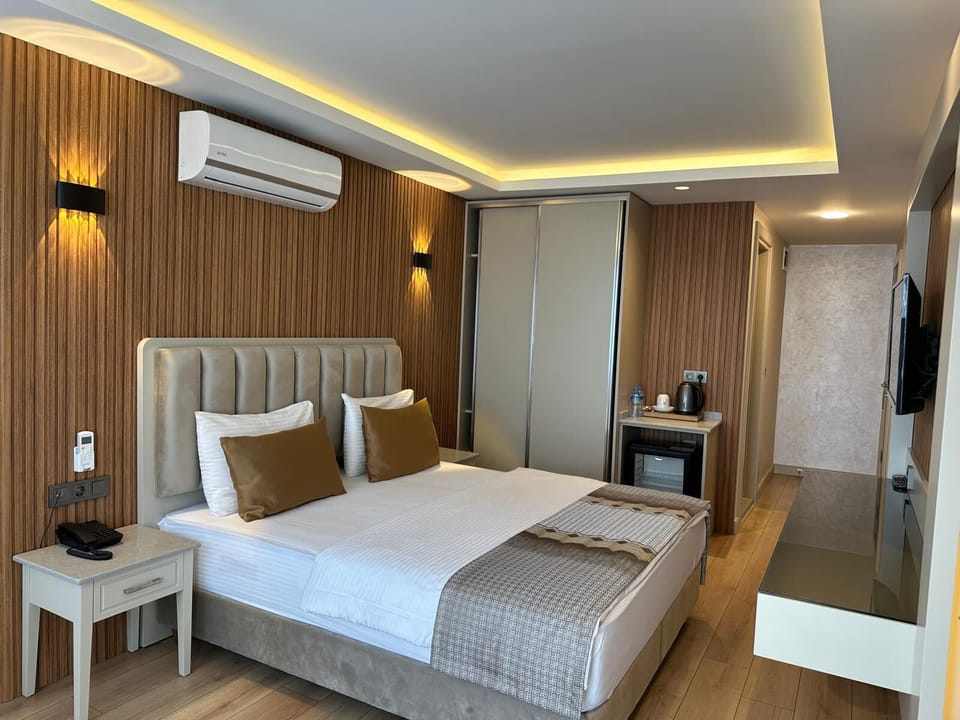 Deluxe Double Room | Egyptian cotton sheets, premium bedding, minibar, in-room safe