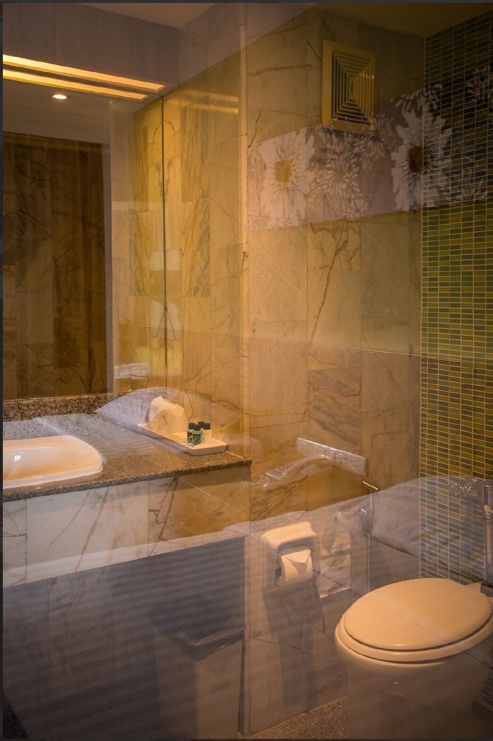 Shower, free toiletries, towels