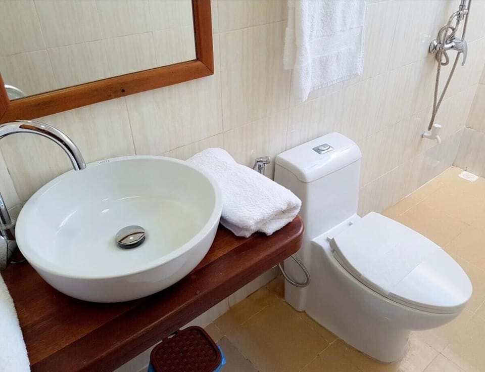 Shower, free toiletries, hair dryer, bidet