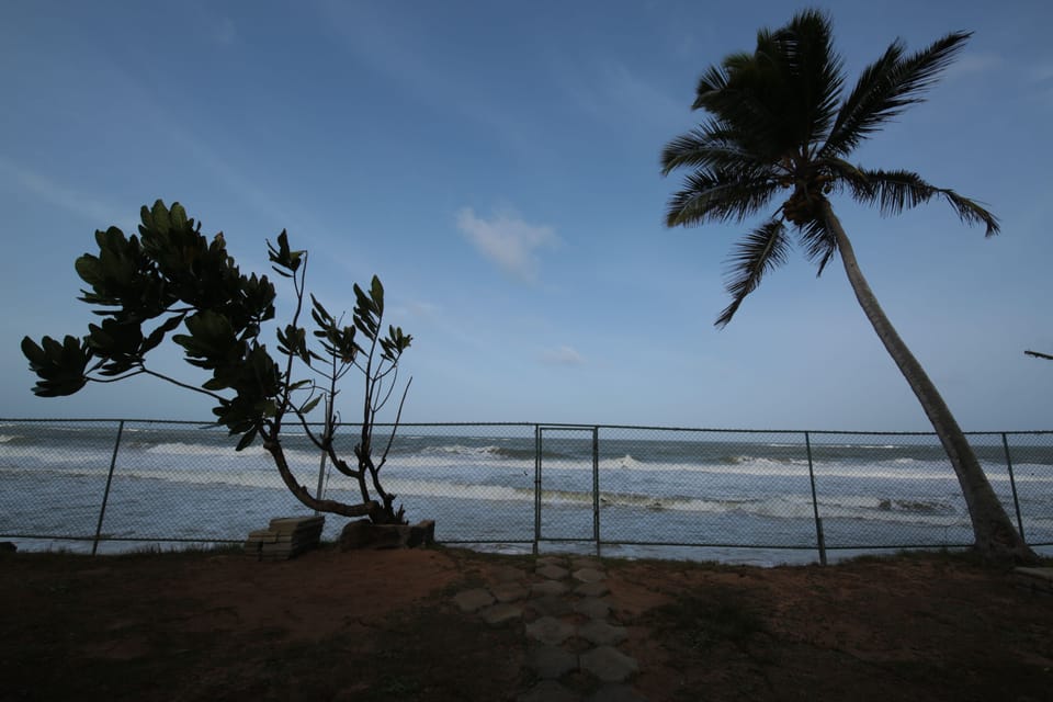 View from property