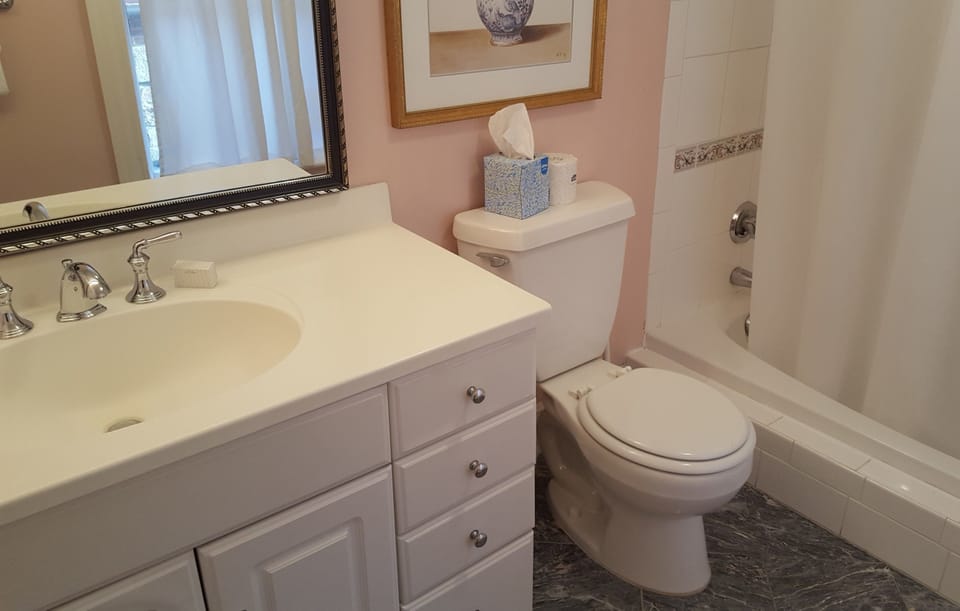 Deluxe King Room | Bathroom | Free toiletries, hair dryer, towels, shampoo