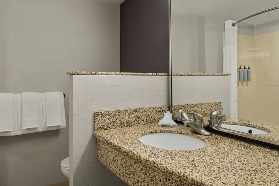 Combined shower/tub, free toiletries, hair dryer, towels