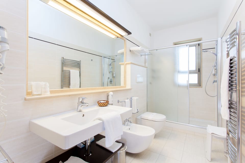 Shower, free toiletries, hair dryer, bidet