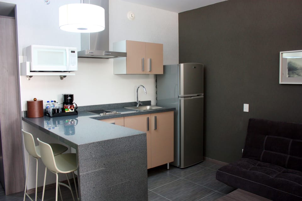 Room (Suite) | Down comforters, minibar, in-room safe, desk