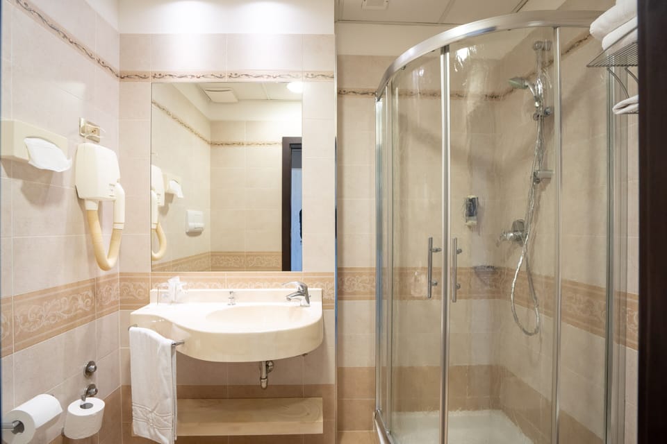 Hair dryer, bathrobes, bidet, towels