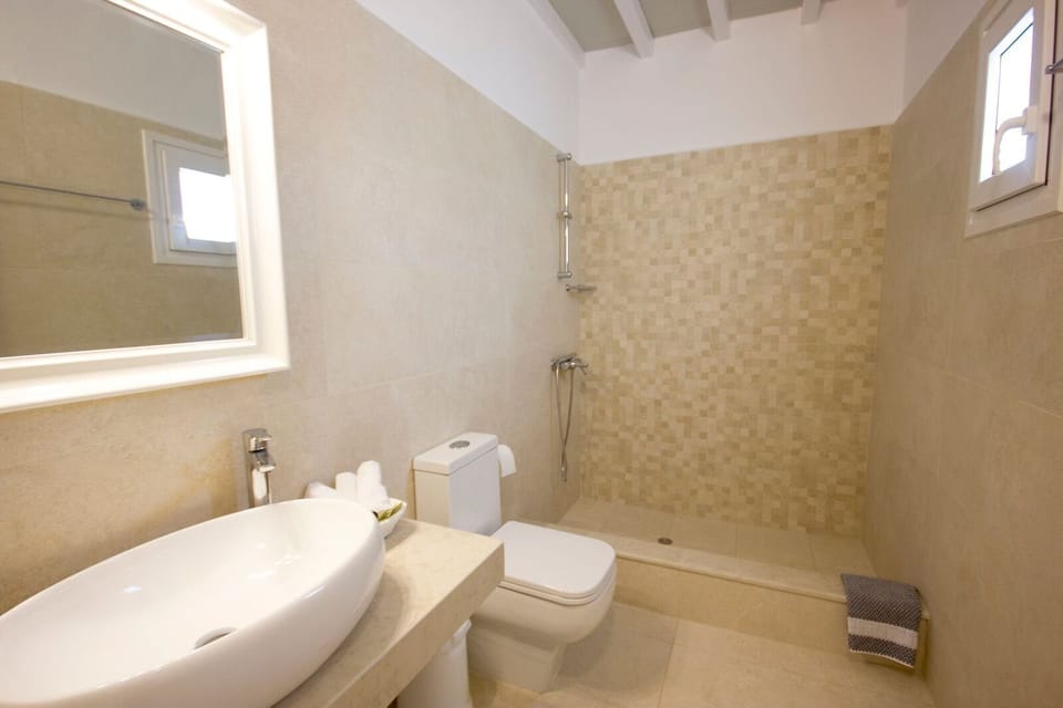 Suite (Country) | Bathroom | Free toiletries, hair dryer, towels