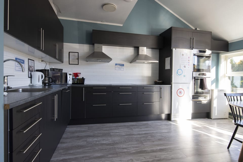 Full-size fridge, microwave, oven, stovetop