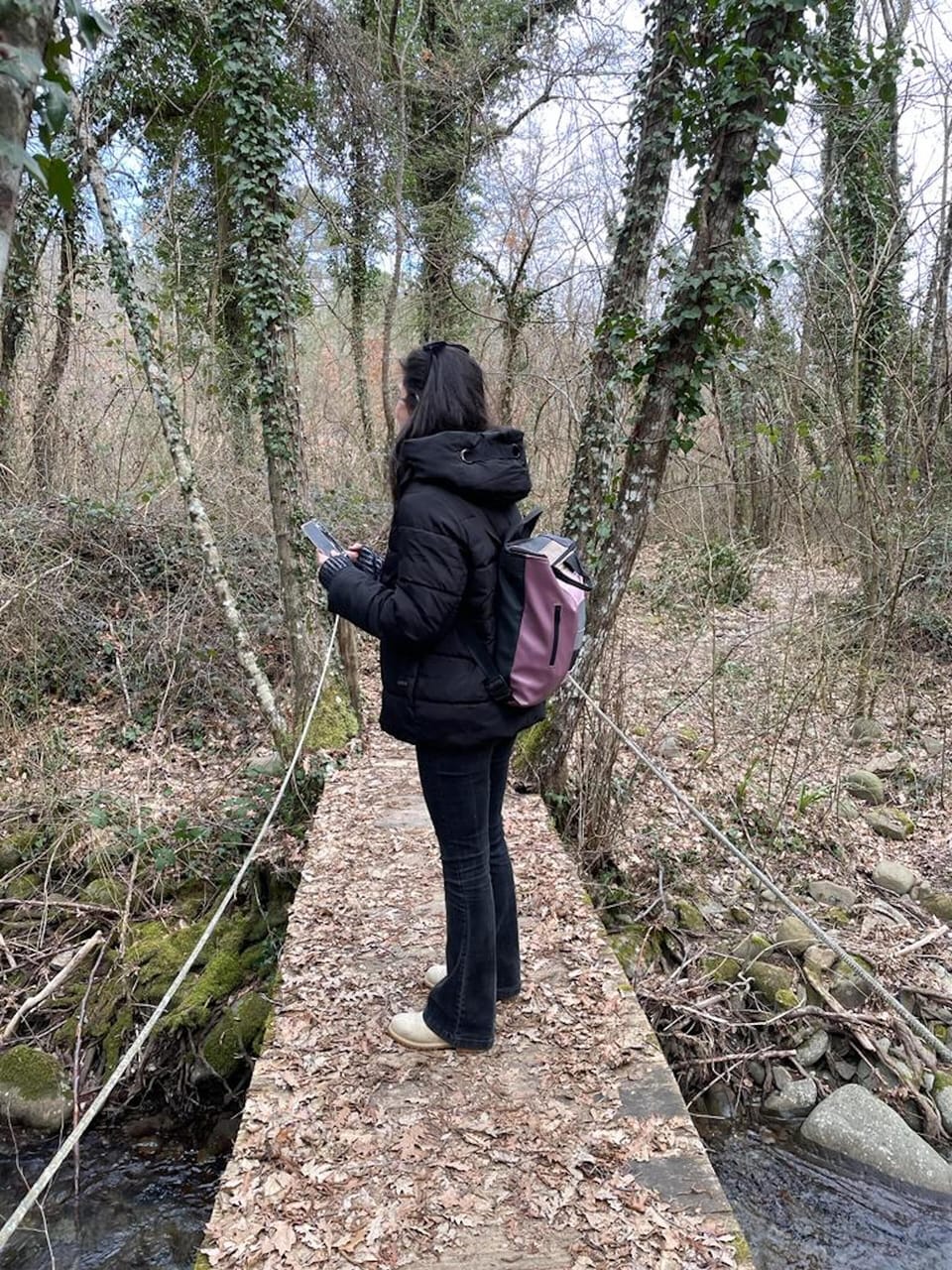 Hiking
