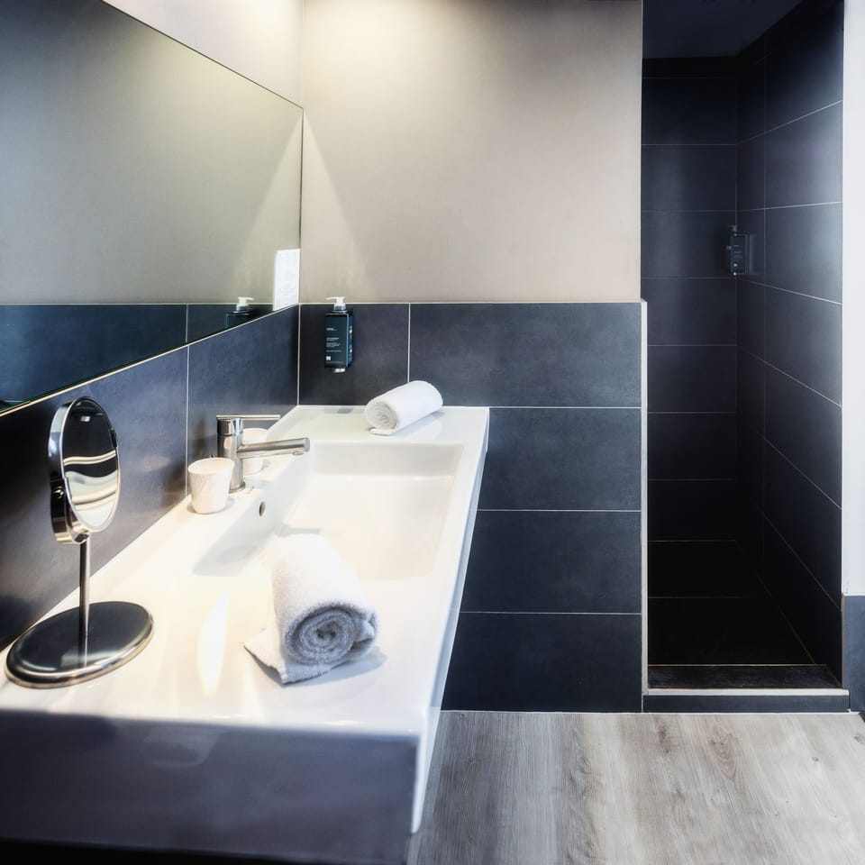 Double Room (Austerlitz) | Bathroom | Shower, hair dryer, towels, soap