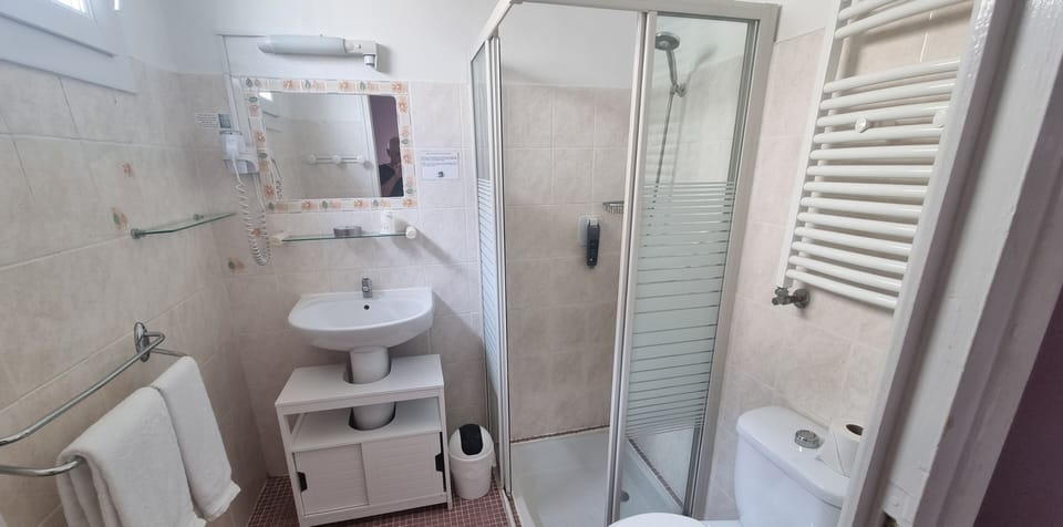 Double Room | Bathroom | Shower, free toiletries, hair dryer, towels