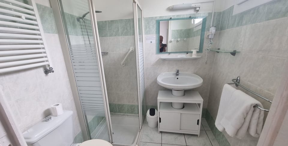 Double Room | Bathroom | Shower, free toiletries, hair dryer, towels