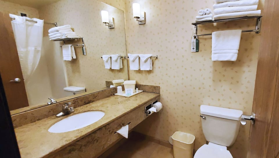 Combined shower/tub, free toiletries, hair dryer, towels