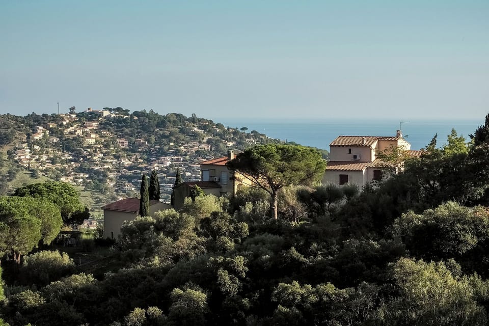 Immediate Surroundings [summer] (<1 km)