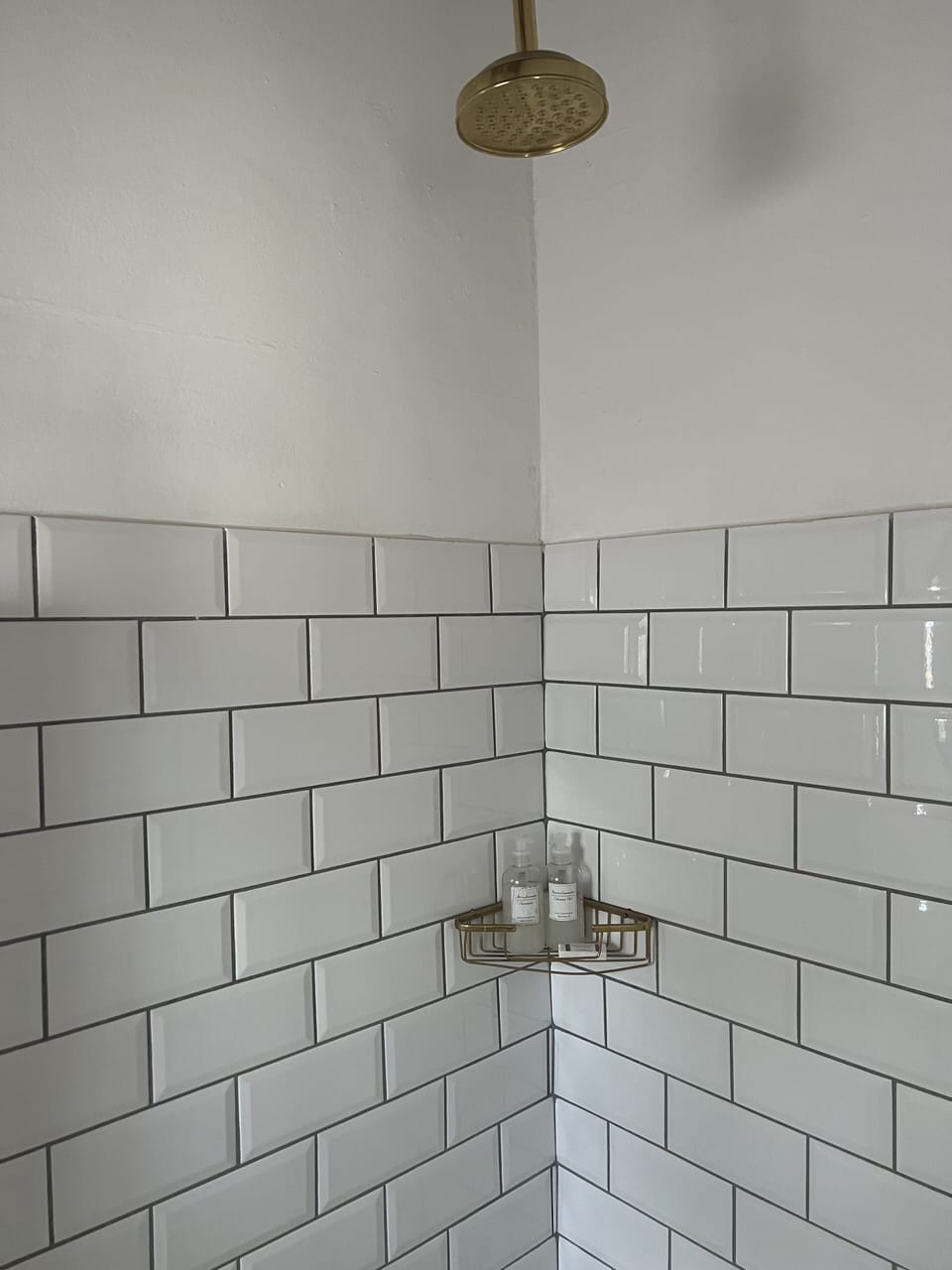 Shower, eco-friendly toiletries, towels