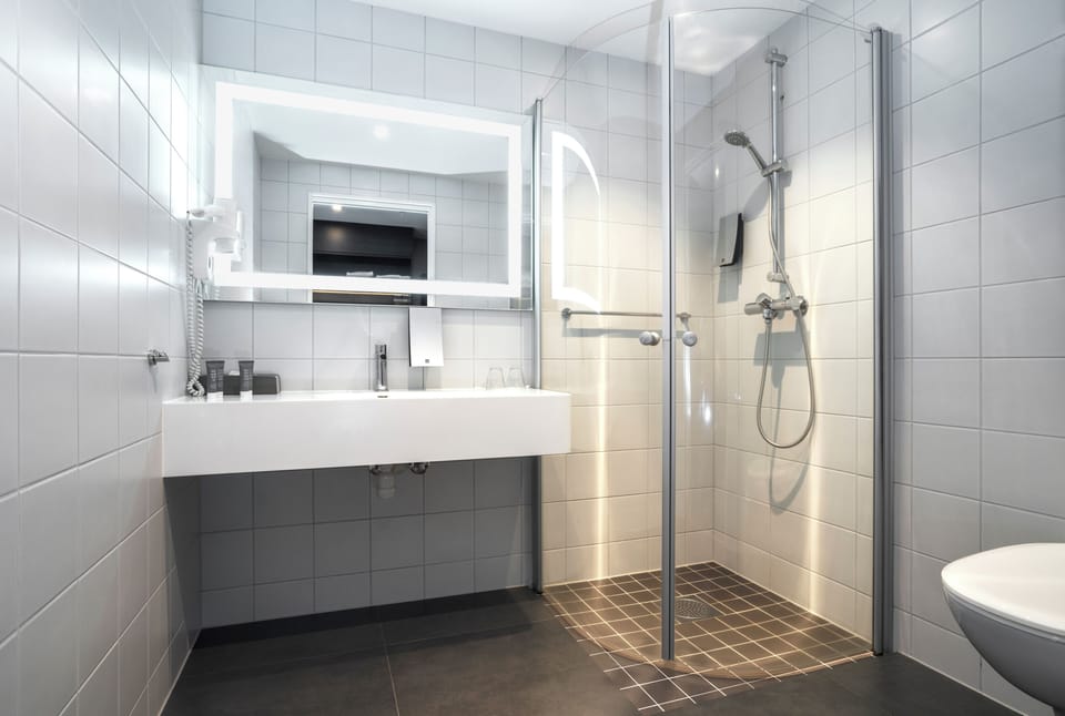 Business Room, Non Smoking | Bathroom | Shower, free toiletries, hair dryer, towels