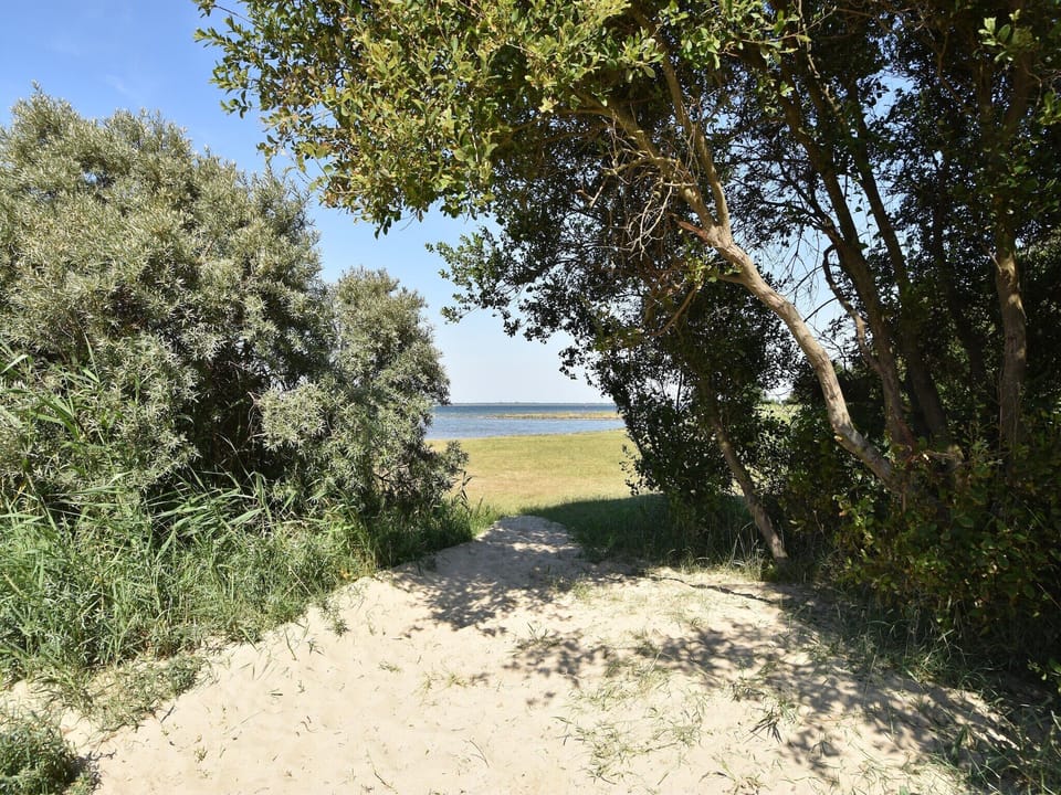 Immediate Surroundings [summer] (<1 km)