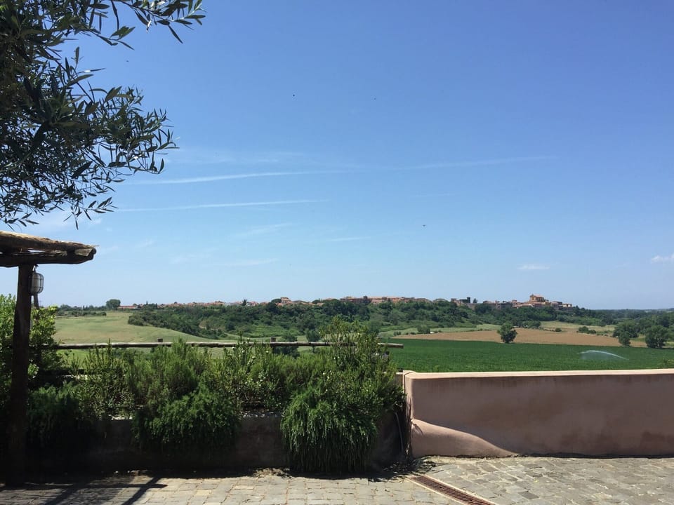 View from Holiday Home [summer]