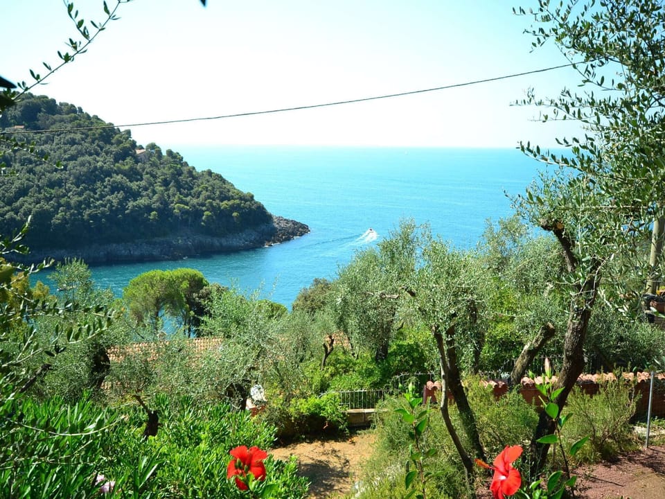 View from Holiday Home [summer]