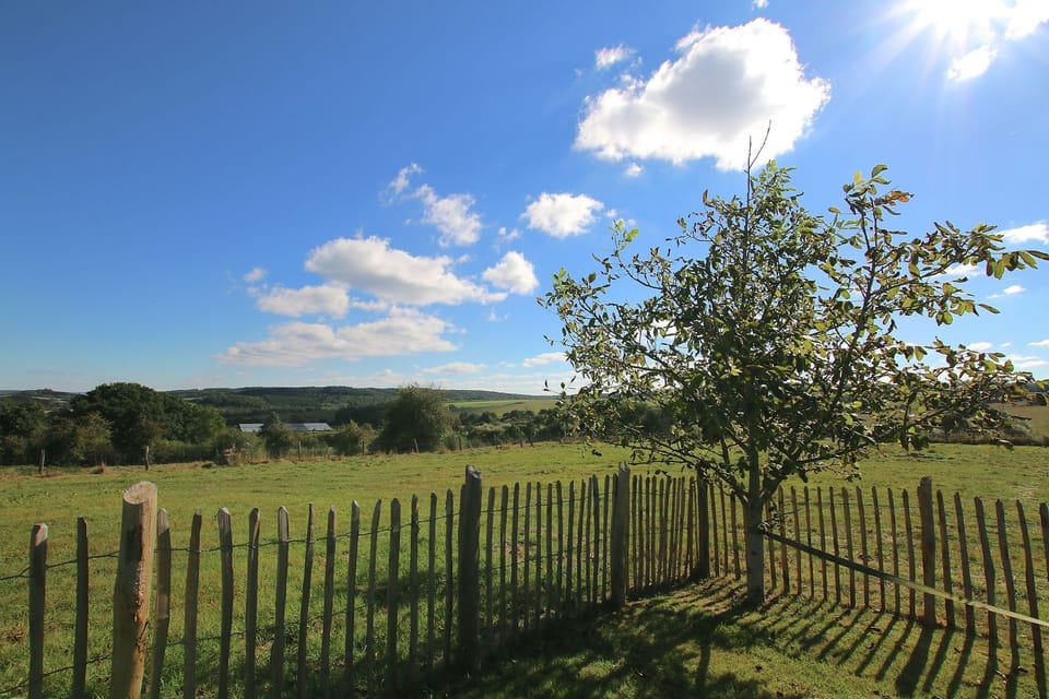 View from Holiday Home [summer]