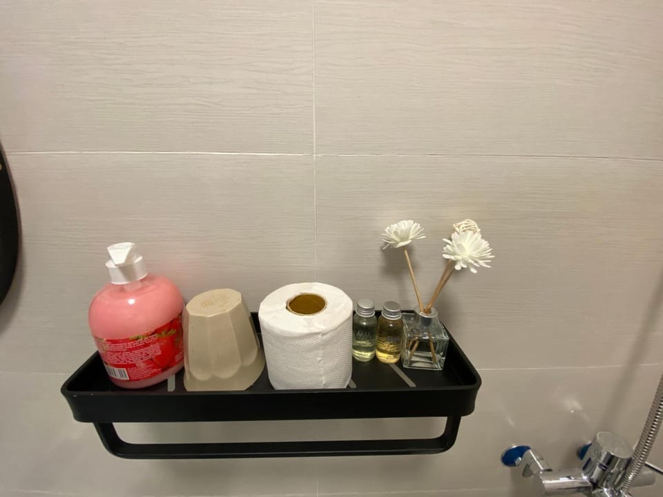 Shower, hydromassage showerhead, free toiletries, hair dryer