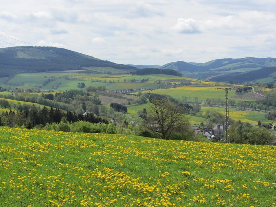 Surroundings [summer] (1-5 km)