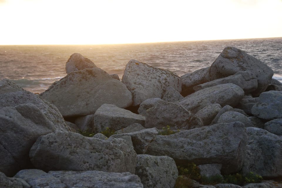 Immediate Surroundings [summer] (<1 km)