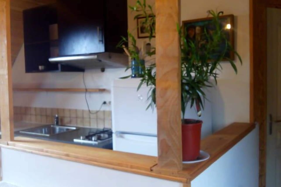 Superior Studio, Garden View (LOFT) | Private kitchen | Highchair